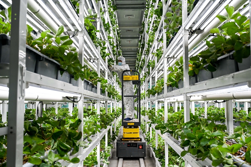 1741071843180035836.jpg 7.jpg